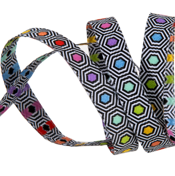 Hexy Rainbow - 3/8in Jacquard Ribbon, fom Linework by Tula Pink for Renaissance Ribbons